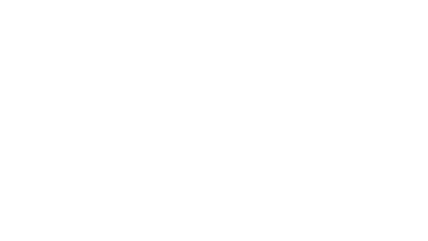 estee lauder copia-blanco