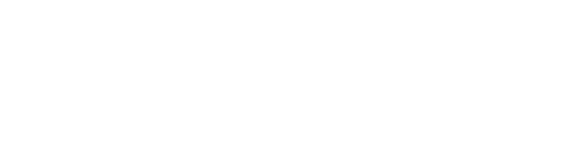 termixb2c-es-logo-1657085484 copia