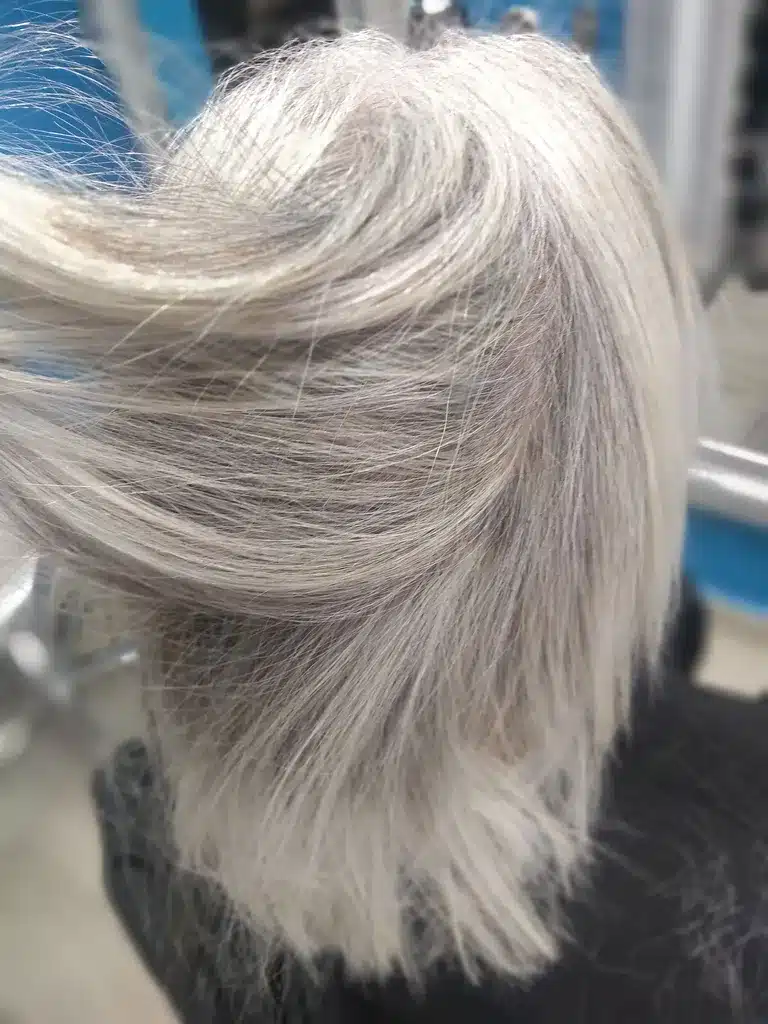 Integracion canas MIL mechas (2)_resultado